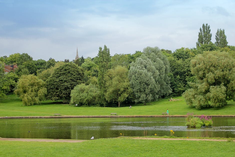 A scenic view of Mile End Park featuring a calm pond in the foreground with a narrow strip of grass and a small cluster of pink flowers at the water's edge. Behind the pond, there's a lush, well-maint