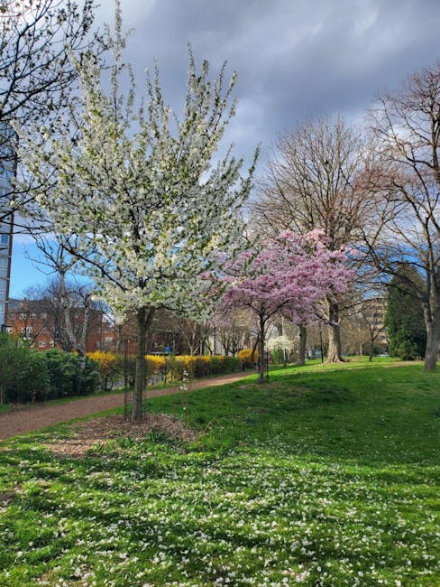 Photograph taken in a park environment featuring a floral arrangement with a bouquet of fresh flowers arranged in a clear glass vase. The bouquet includes white and pink blossoms, with white roses, pe